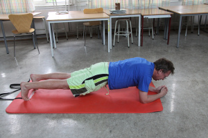the plank