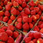 The Awesome Health Benefits of Strawberries