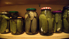 pickles photo